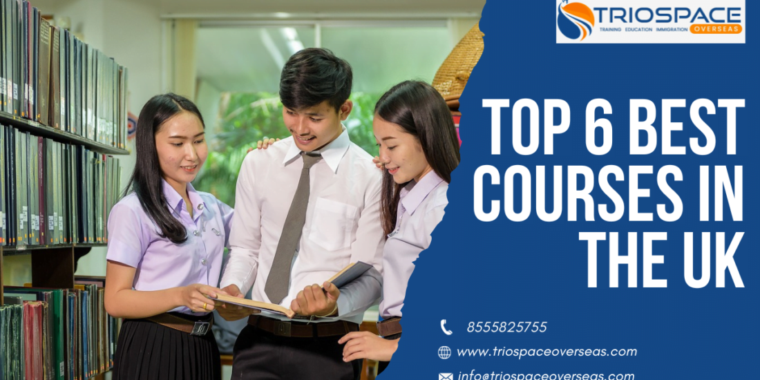 Top 6 Best Courses in the UK