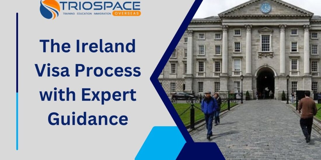 The Ireland Visa Process with Expert Guidance