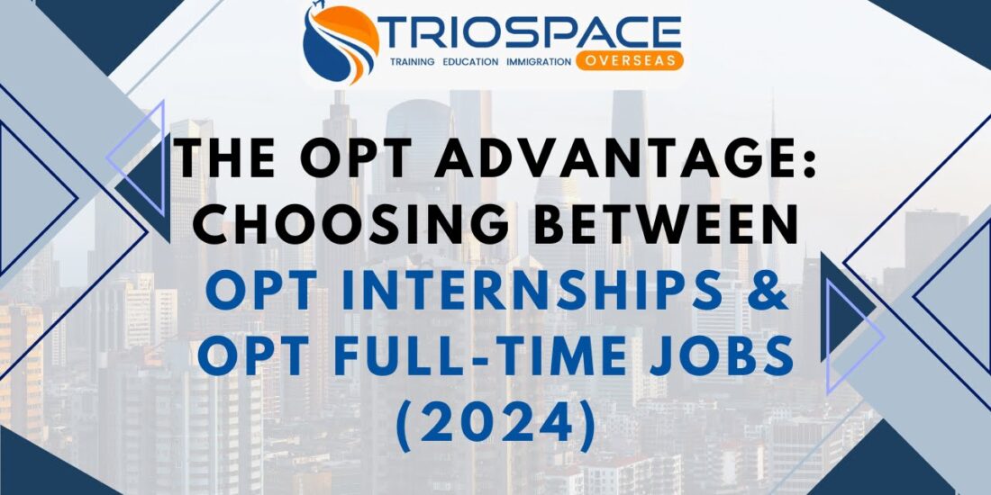 OPT Internship vs. OPT Full-Time Job: Launching Your US Career Journey as an International Student 2024