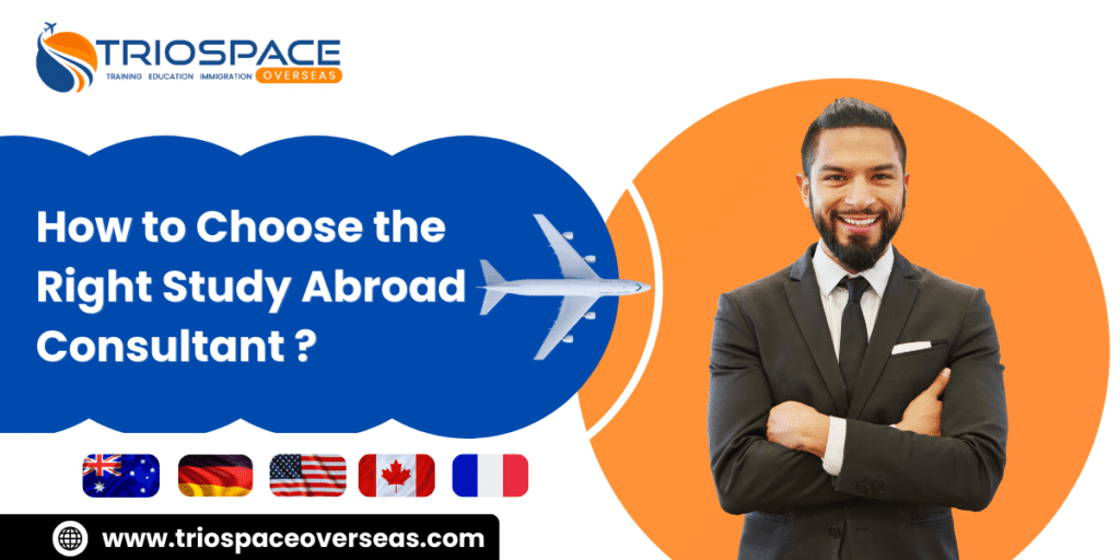 Study Abroad Consultant