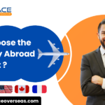 Study Abroad Consultant