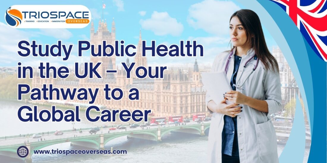 Study Public Health Course in UK – Your Pathway to a Global Career