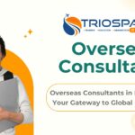Overseas Consultants in Hyderabad