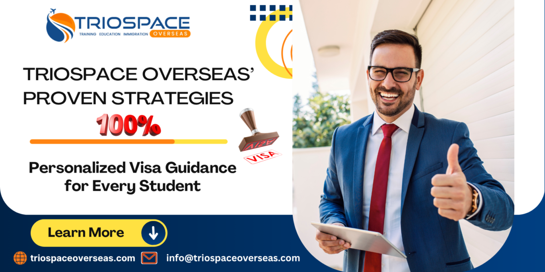 100% Visa Success Rate-TrioSpace Overseas Proven Strategies